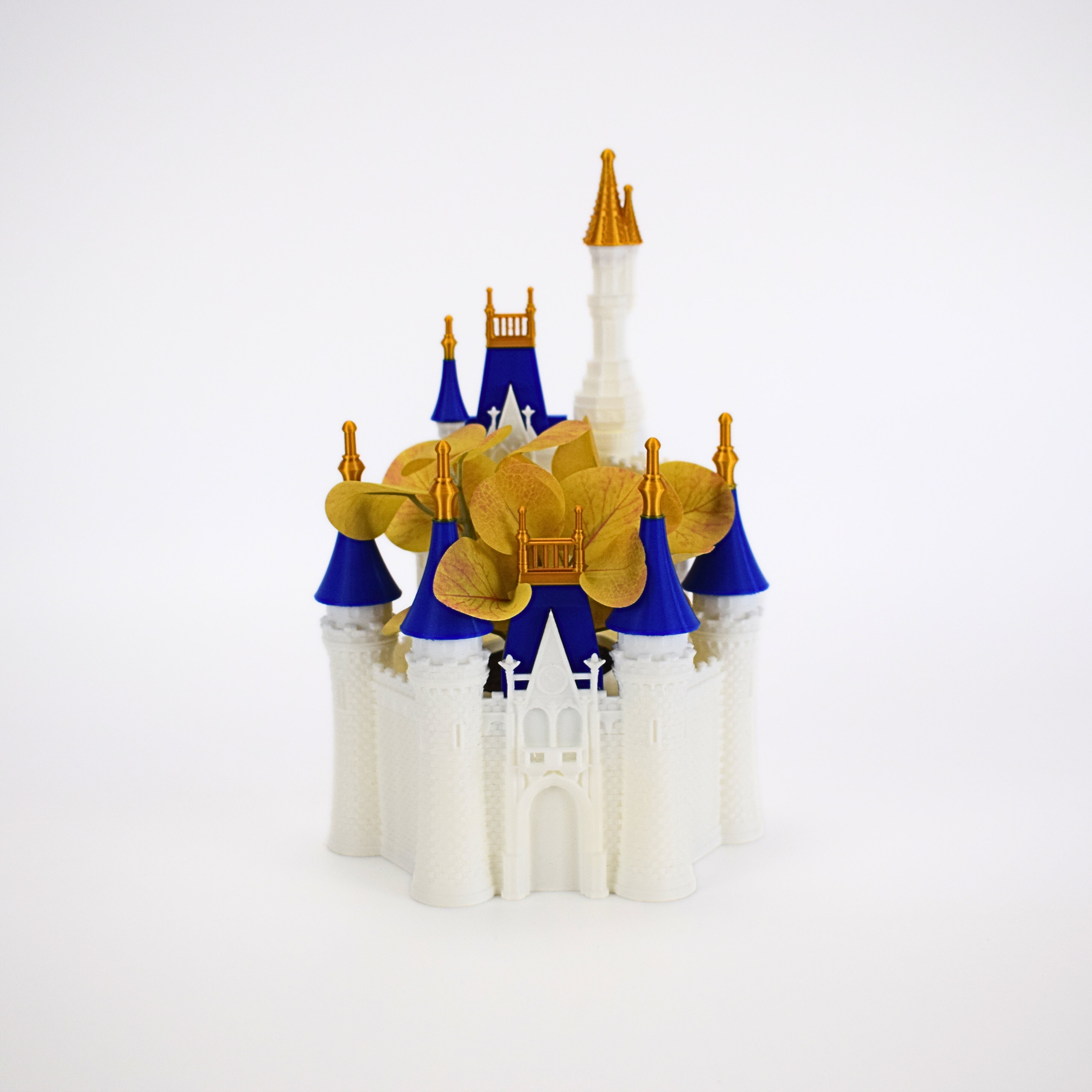 Disney Castle